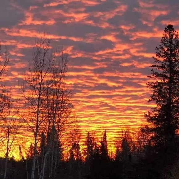 Meet your Posher, Chad - Picture 1 of 1